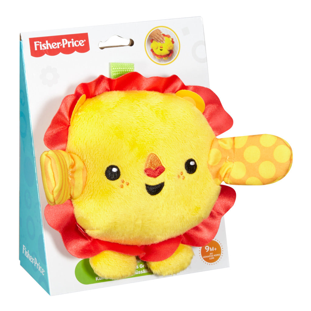 Fisher Price Kiekeboe Knuffel Met Geluid