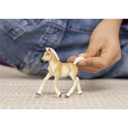 Schleich Haflinger Veulen